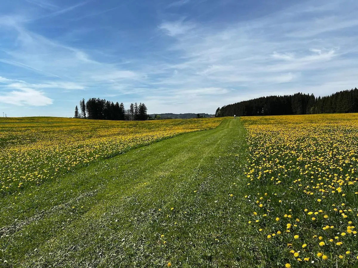 Zentrale Wohnen Im Gruenen Auf Dem Berg Apartment Biessenhofen